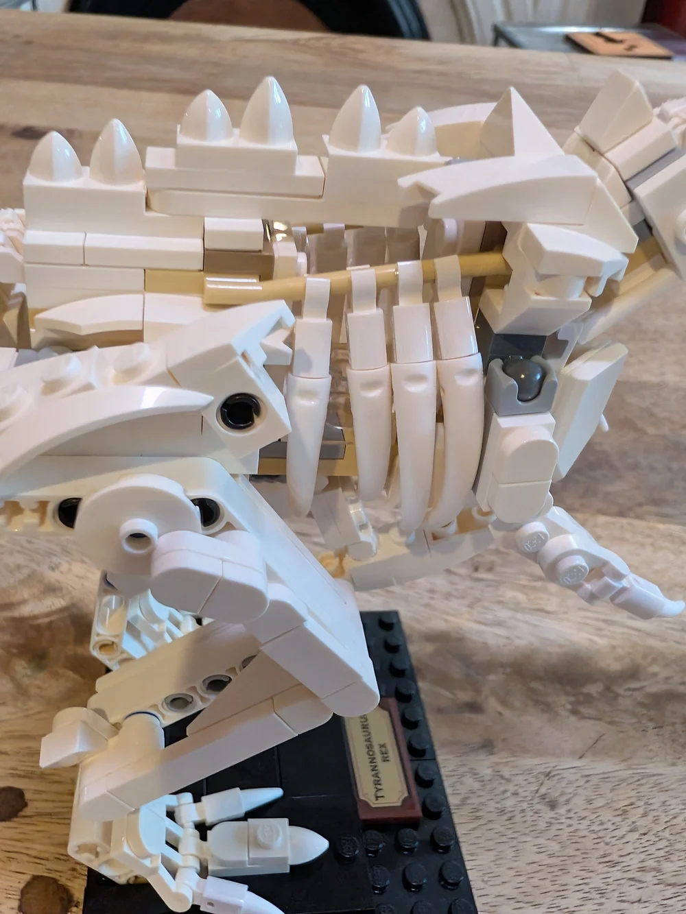 🦴 LEGO Set 21320 — Dinosaur Fossils - Complete